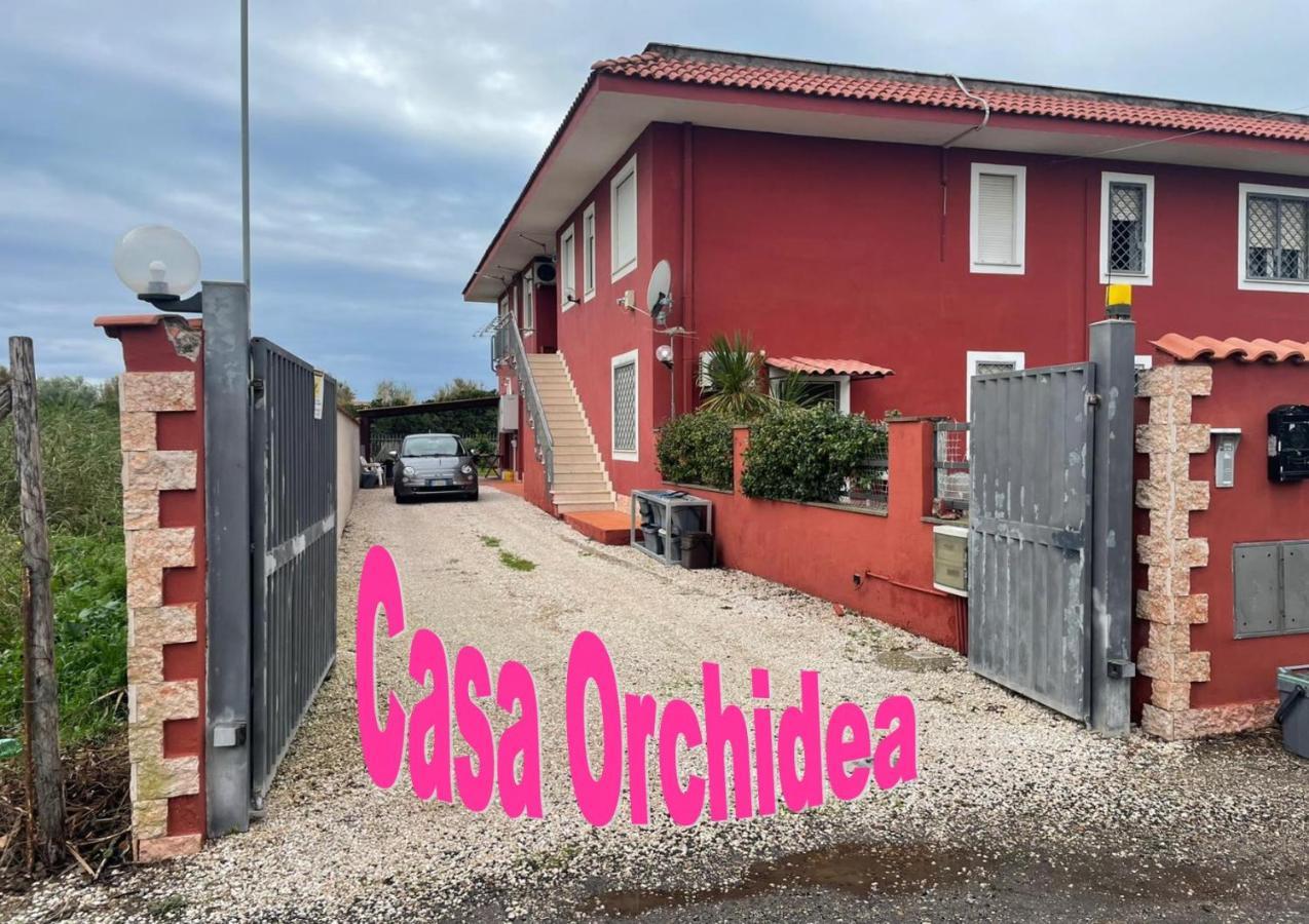 Casa Orchidea
